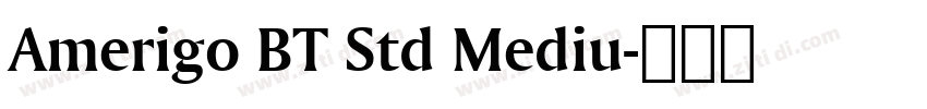 Amerigo BT Std Mediu字体转换